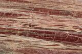 Arizona Petrified Wood Table With Metal Base #214471-2